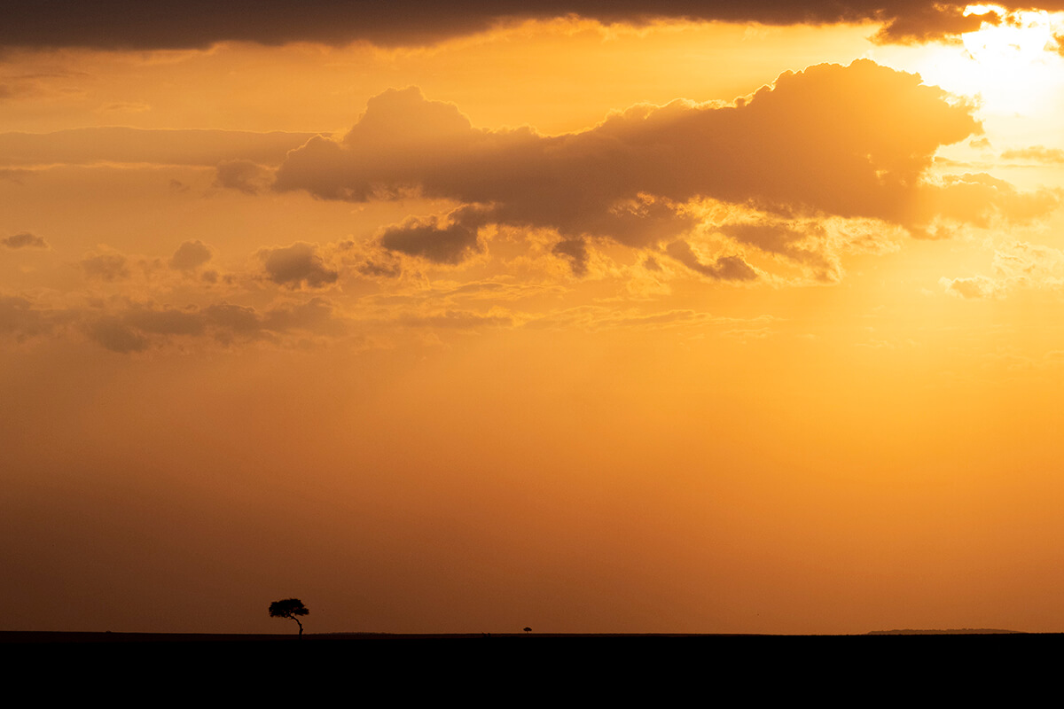 A minimalist landscape of the Maasai Mara at sunset, with soft hues casting a peaceful glow over the plains