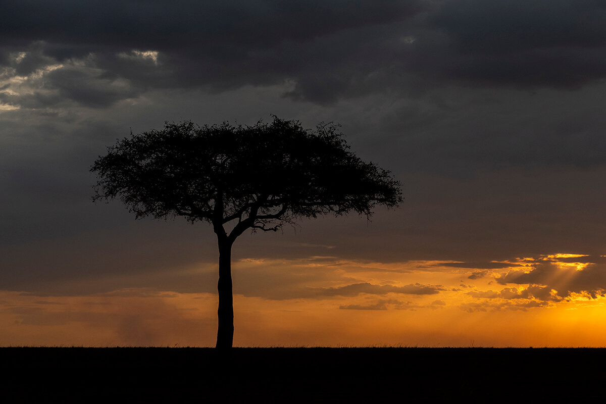 paesaggio del masai mara durante il tramonto