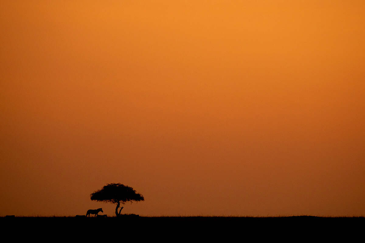 Alba nella savana del Masai Mara