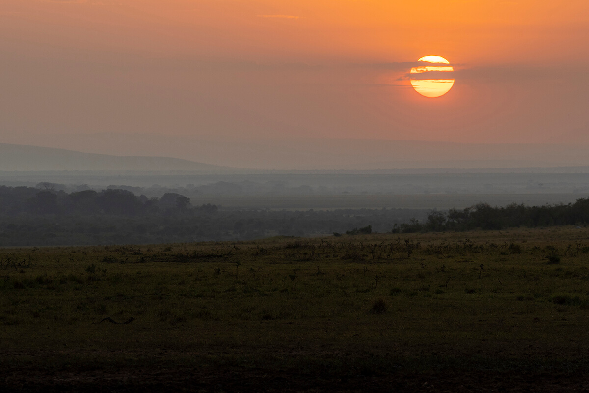 Alba nel Masai Mara all'inizio di un safari