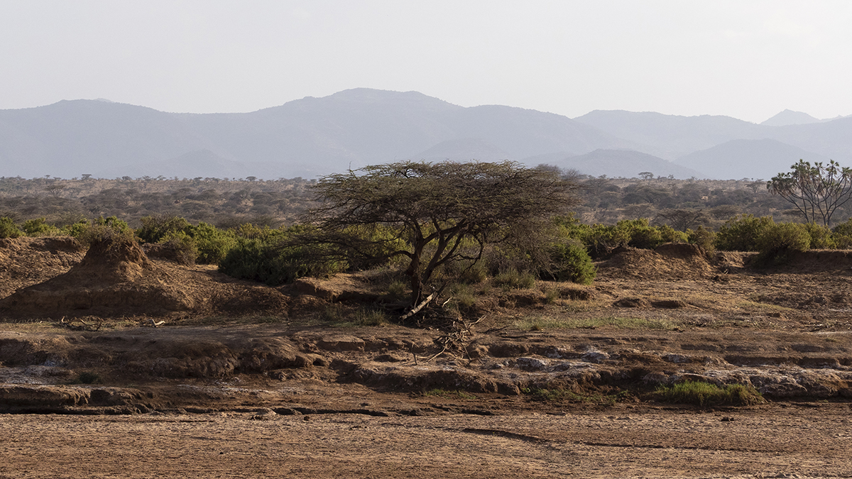 paesaggio nella riserva nazionale di samburu in Kenya