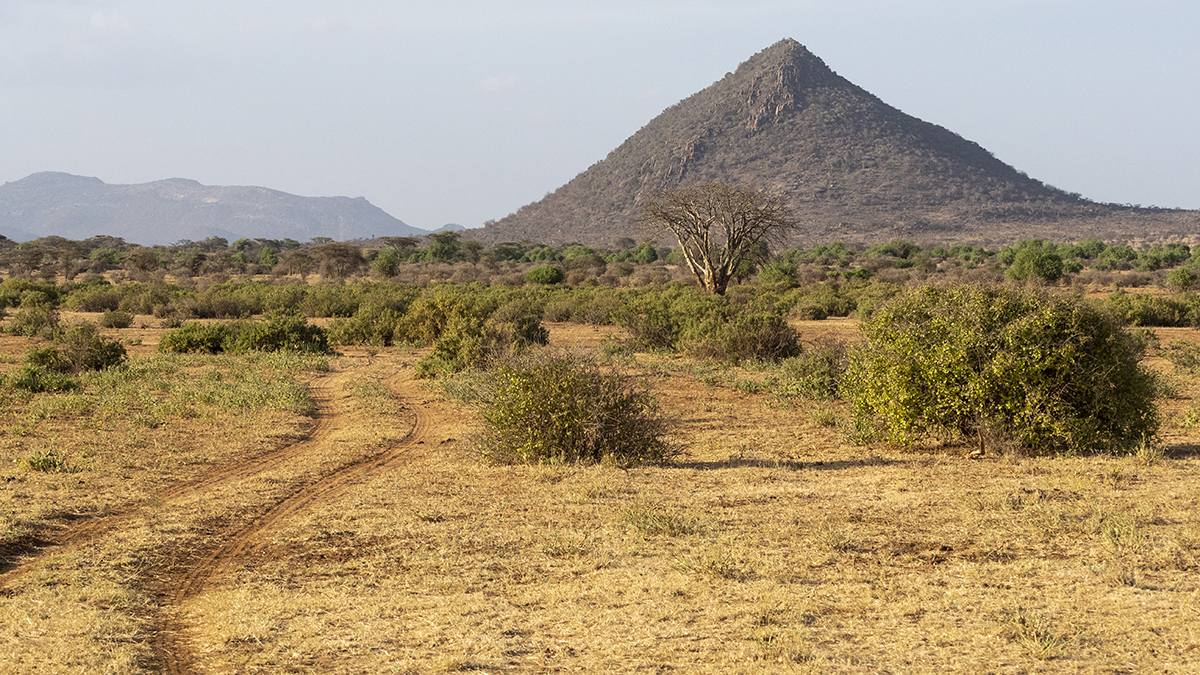 Un paesaggio tipico della savana desertica nel Kenya centrale durante un safari attraverso il paese.