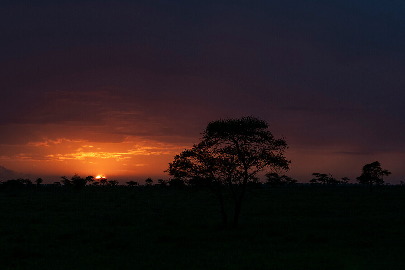 Tramonto sereno durante un viaggio in Tanzania con un'Agenzia Locale
