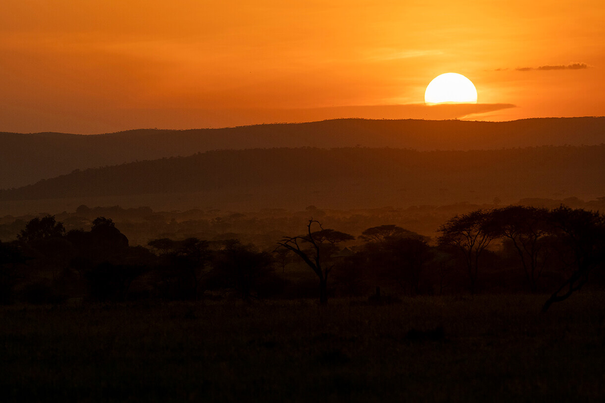 tramonto magico nel Serengeti durante un safari in tanzania in italiano con agenzia locale pianificato in modo personalizzato