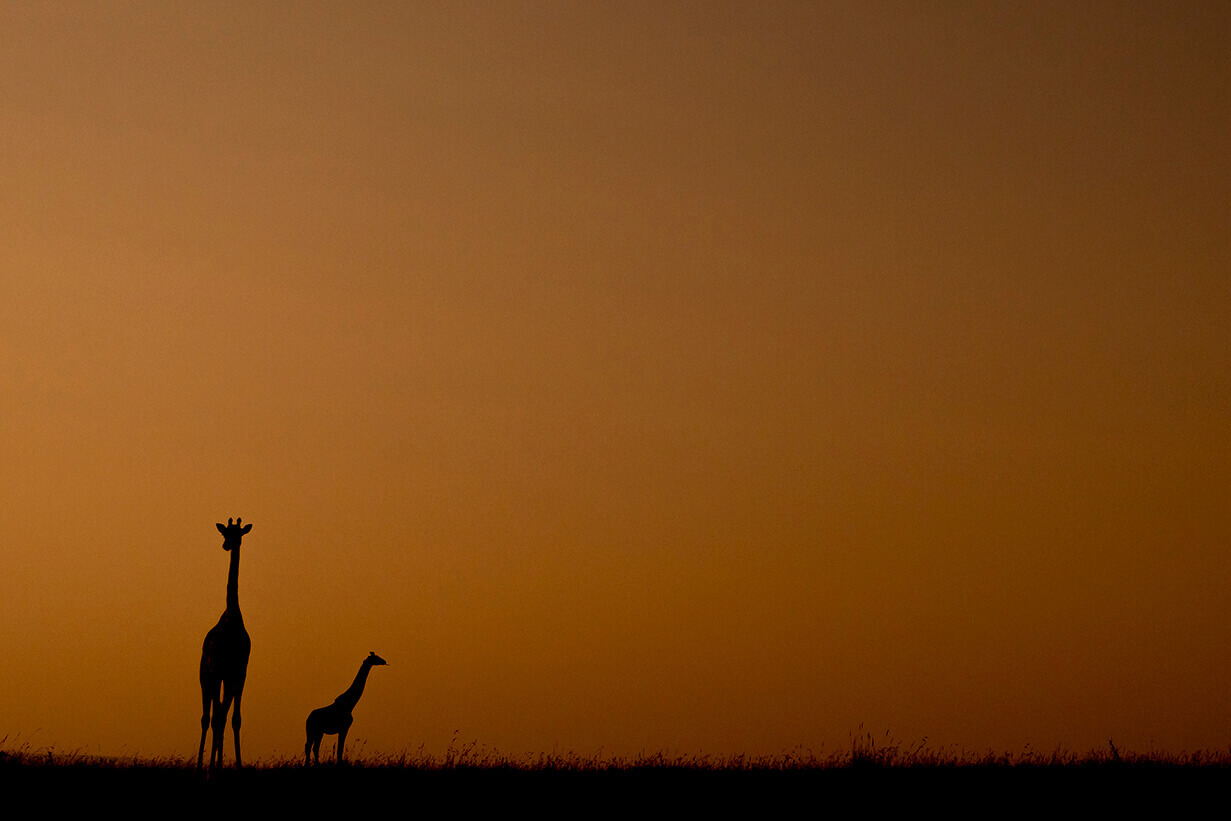 albe e tramonti sono un altro momento indimenticabile di una luna di miele in Kenya